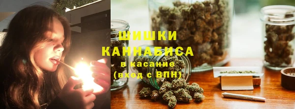 мдпв Магас