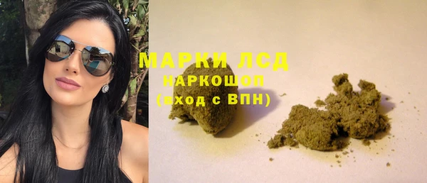 крисы Магадан