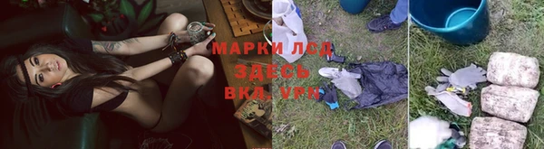 крисы Магадан