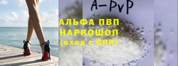 крисы Магадан