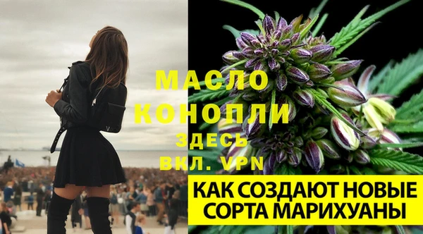 амф Семёнов