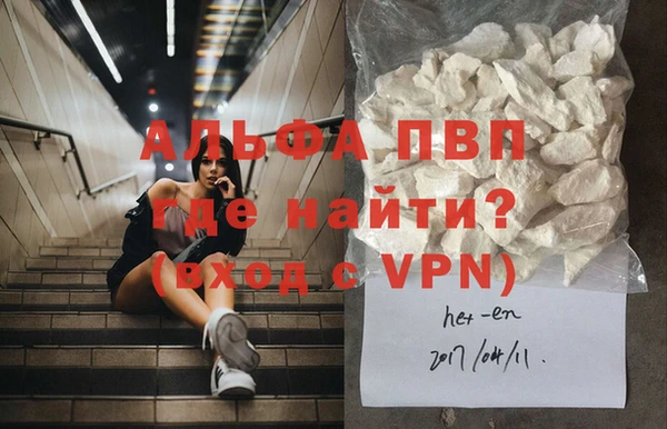 крисы Магадан