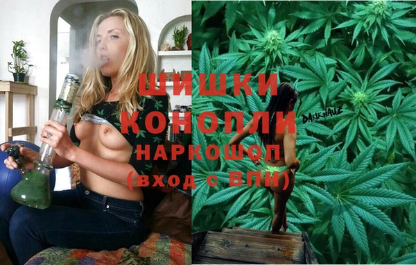 PSILOCYBIN Семилуки