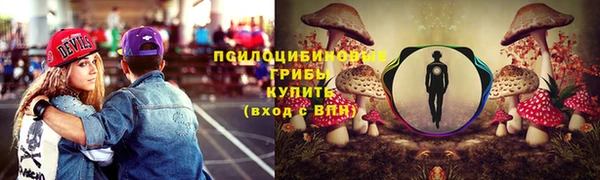 крисы Магадан