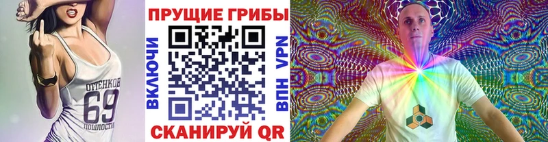 Галлюциногенные грибы прущие грибы  mega рабочий сайт  Щучье 